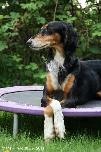 2011-04-23 Quincy etc (34).jpg